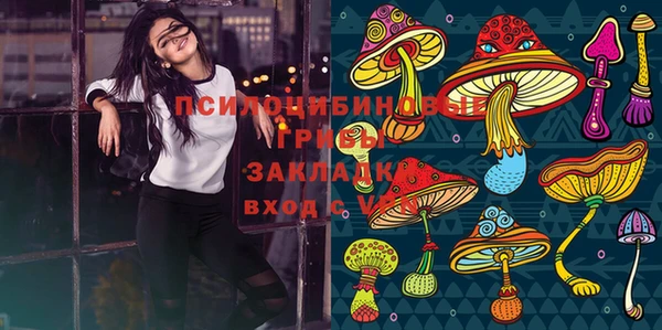 первитин Армянск