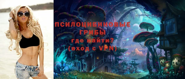 молекула духа Балахна