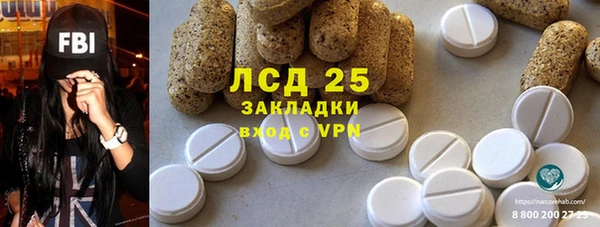 PSILOCYBIN Баксан